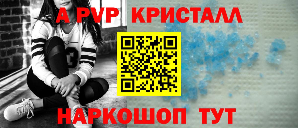 A PVP СК КРИС Тара