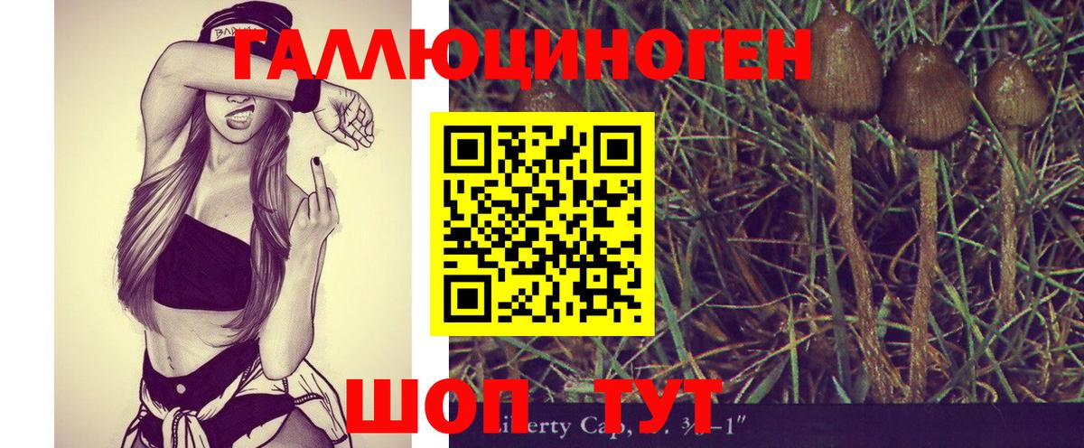 Галлюциногенные грибы ЛСД Тара